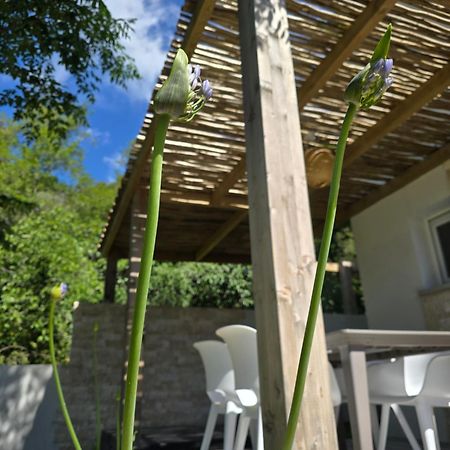 Petite Maison - Porto-Vecchio エクステリア 写真