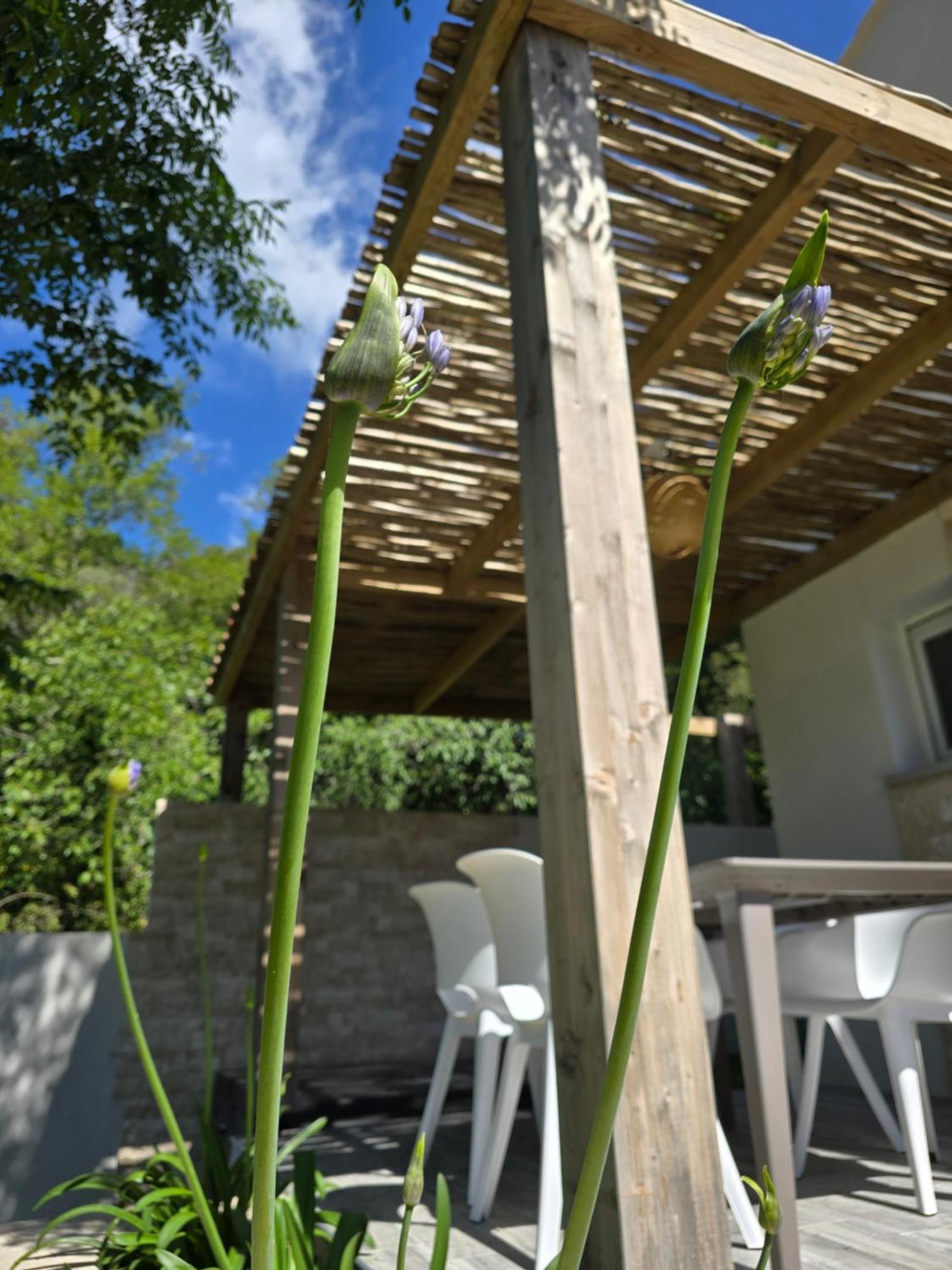 Petite Maison - Porto-Vecchio エクステリア 写真